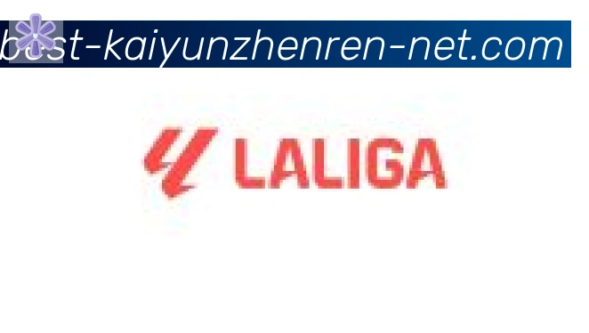 开云真人合作伙伴